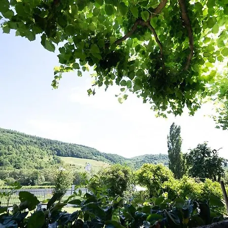 호텔 Boutiquehotel Kloster Pfalzel 3*