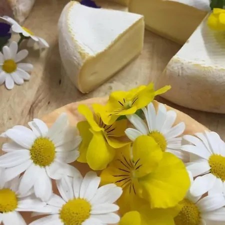 Szálloda Boutiquehotel Kloster Pfalzel Trier