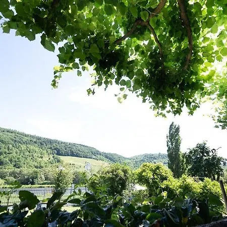Boutiquehotel Kloster Pfalzel Hotel