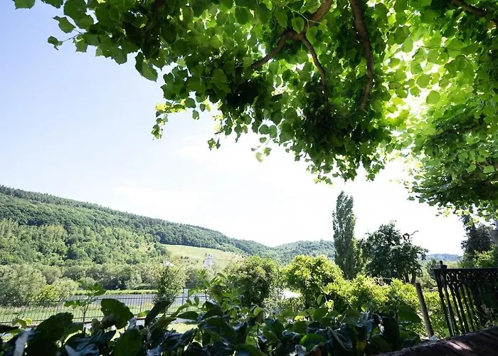 מלון Boutiquehotel Kloster Pfalzel 3*