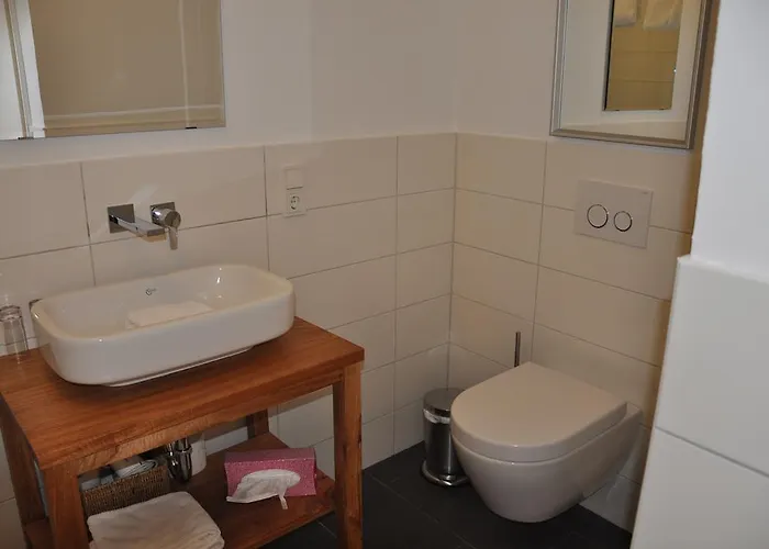 Boutiquehotel Kloster Pfalzel 3* טרייר