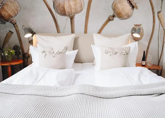 酒店 Boutiquehotel Kloster Pfalzel 3*