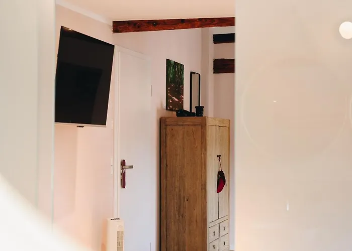 Boutiquehotel Kloster Pfalzel 3*